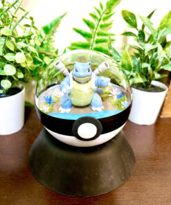 #009 Blastoise Pokeball Terrarium
