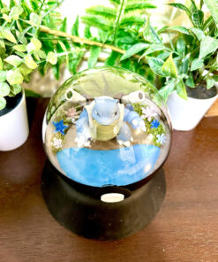 Alternative view of #009 Blastoise Pokeball Terrarium