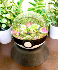 #650 Chespin Pokeball Terrarium