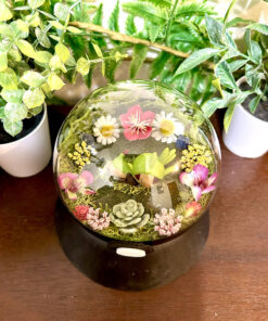 Alternative view of #650 Chespin Pokeball Terrarium