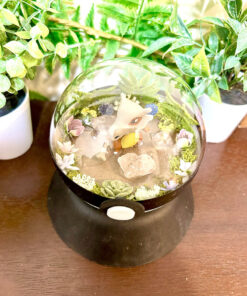 Alternative view of #104 Cubone Pokeball Terrarium