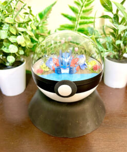 #260 Mega Swampert Pokeball Terrarium
