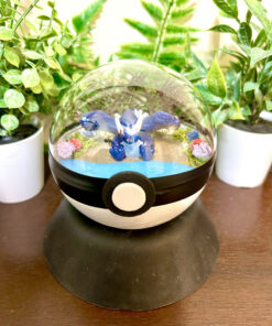 #249 Shadow Lugia Pokeball Terrarium