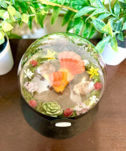 Alternative view of #037 Vulpix Pokeball Terrarium