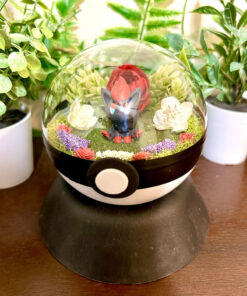 #570 Zorua Pokeball Terrarium