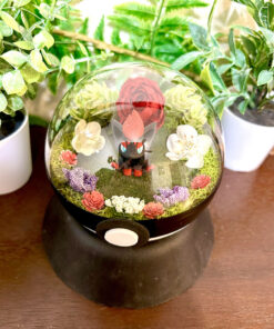 Alternative view of #570 Zorua Pokeball Terrarium