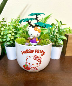Hello Kitty Tea Cup Terrarium