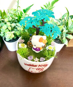 Alternative view of Hello Kitty Tea Cup Terrarium