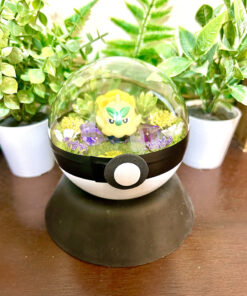 Browt Pokeball Terrarium