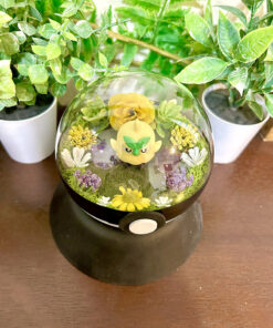 Alternative view of Browt Pokeball Terrarium