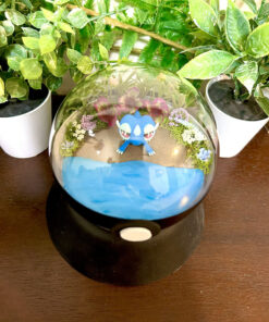 Alternative view of Gecqua Pokeball Terrarium