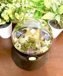 Alternative view of #143 Mosslax Pokeball Terrarium