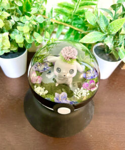 Alternative view of #025 Peakychu Pokeball Terrarium