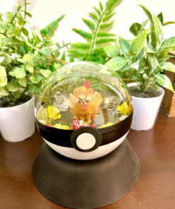 Pombon Pokeball Terrarium