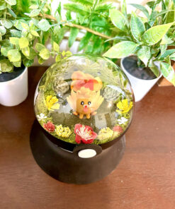 Alternative view of Pombon Pokeball Terrarium