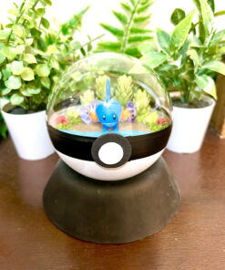 #258 Mudkip Pokeball Terrarium
