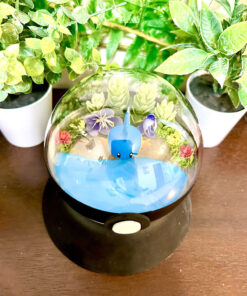 Alternative view of #258 Mudkip Pokeball Terrarium
