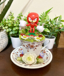 Knuckles from Sonic Tea Cup Terrarium
