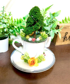 Rainbow Dash from My Little Pony Tea Cup Terrarium - Image 3