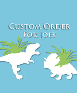 Custom Maki Tea Cup and Regular Chandelure Pokeball Terrariums for Joey