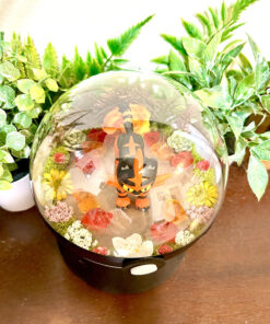 Alternative view of Huge Torracat Pokeball Terrarium
