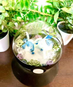 Alternative view of #471 Glaceon Pokeball Terrarium