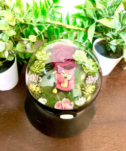 Alternative view of #300 Skitty Pokeball Terrarium