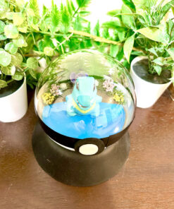 Alternative view of #158 Totodile Pokeball Terrarium
