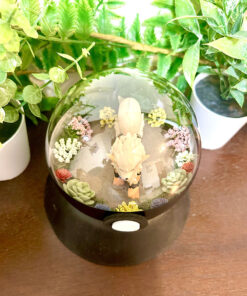 Alternative view of #059 Arcanine Pokeball Terrarium