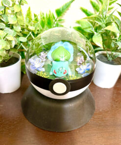 #001 Bulbasaur Pokeball Terrarium