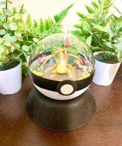 #006 Charizard Pokeball Terrarium