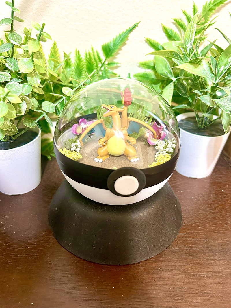 #006 Charizard Pokeball Terrarium