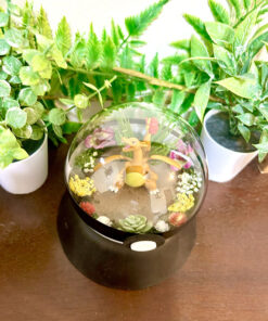 Alternative view of #006 Charizard Pokeball Terrarium