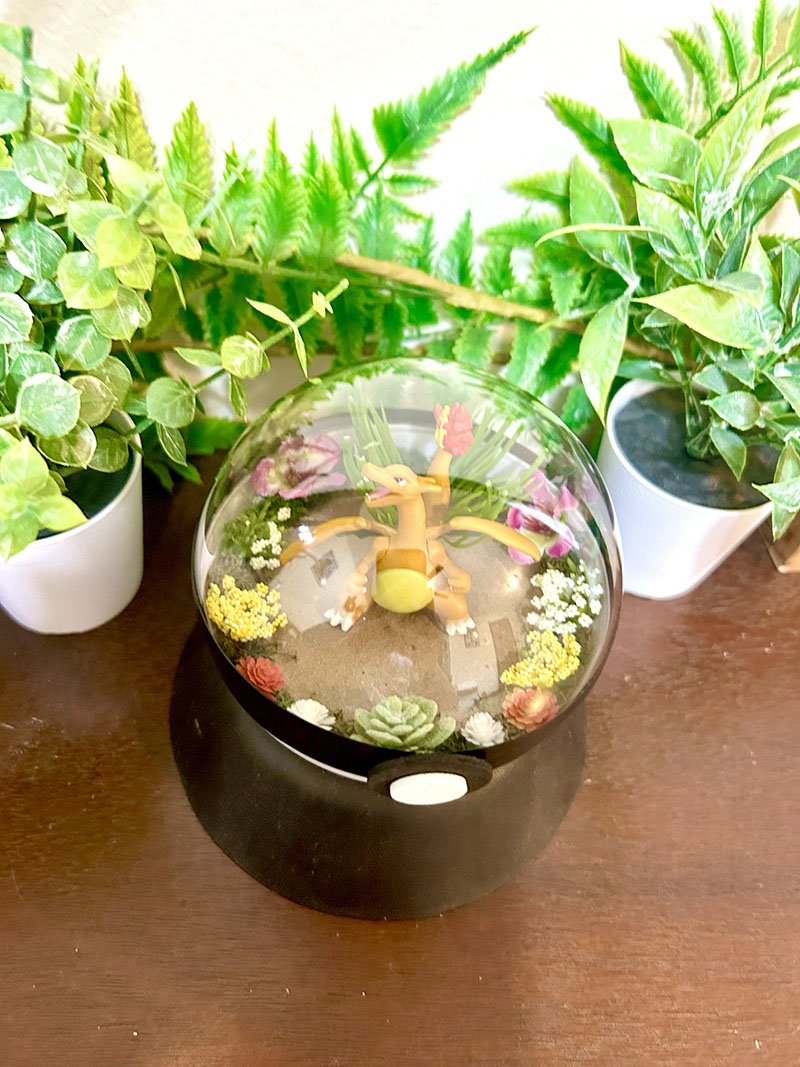 #006 Charizard Pokeball Terrarium - Image 2
