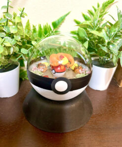 #004 Charmander Pokeball Terrarium