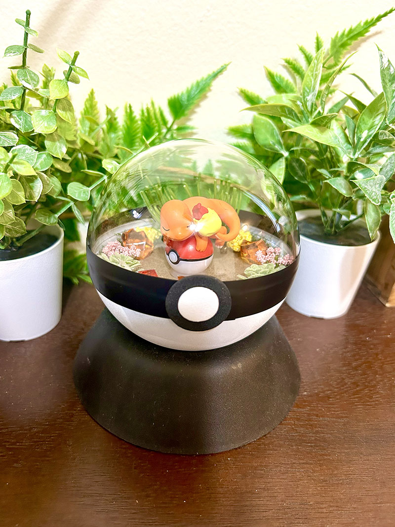 #004 Charmander Pokeball Terrarium