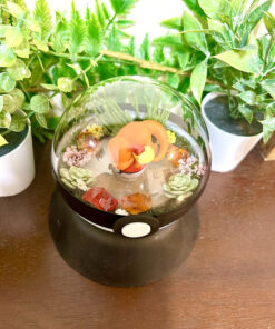 Alternative view of #004 Charmander Pokeball Terrarium