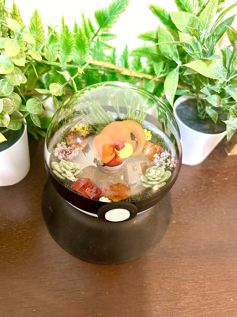 #004 Charmander Pokeball Terrarium - Image 2