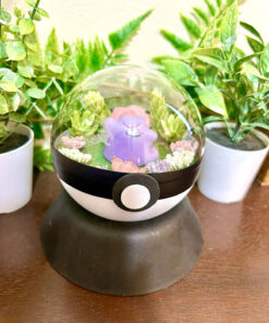 #132 Ditto Pokeball Terrarium