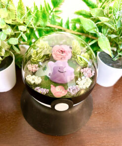 Alternative view of #132 Ditto Pokeball Terrarium
