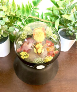 Alternative view of #136 Flareon Pokeball Terrarium