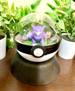 #094 Gengar Pokeball Terrarium