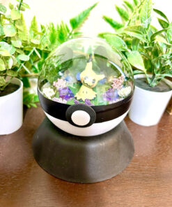 #778 Mimikyu Pokeball Terrarium