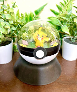 #025 Pikachu Pokeball Terrarium