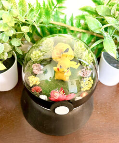Alternative view of #025 Pikachu Pokeball Terrarium
