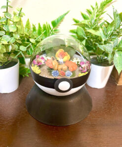 #037 Vulpix Pokeball Terrarium