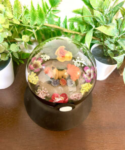 Alternative view of #037 Vulpix Pokeball Terrarium